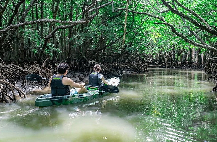 石垣島アクティビティクラブ_ツアー (10)
