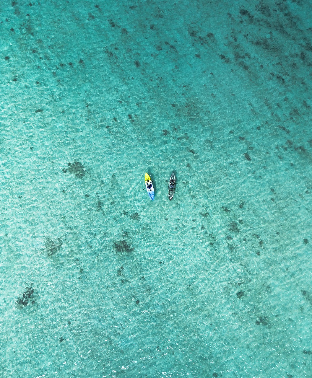 石垣島アクティビティクラブ (8)