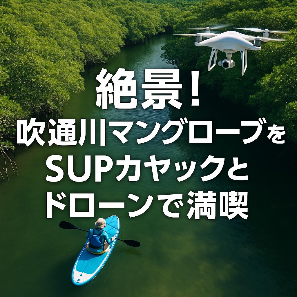 絶景！吹通川マングローブをSUPカヤックとドローンで満喫